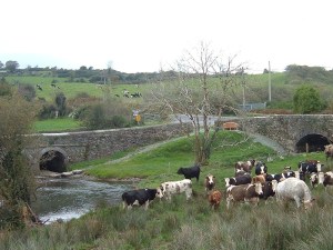 West Cork Walks