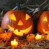 A memorable break for you and your little terrors