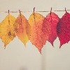 Autumn Activities To Enjoy In West Cork