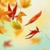 Autumn Breaks at the West Cork Hotel